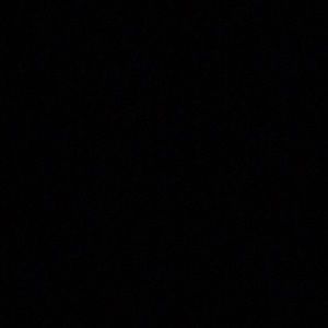 Meet your Posher, Gracie